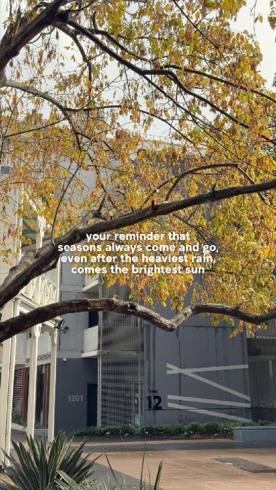 Post 2 by UNSW on Instagram (video)