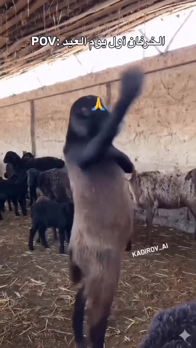 Post 4 by Ridhiwani Rashidi on Instagram (video)
