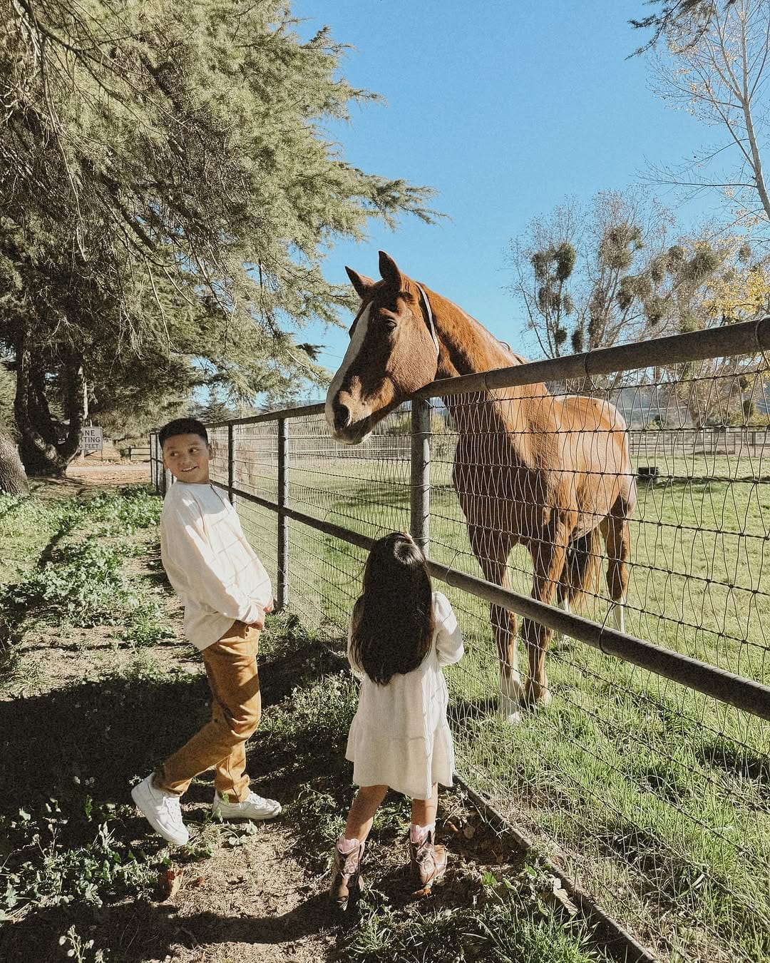Post 8 by A r a b e l l a  C a n a l e s on Instagram (carousel)
