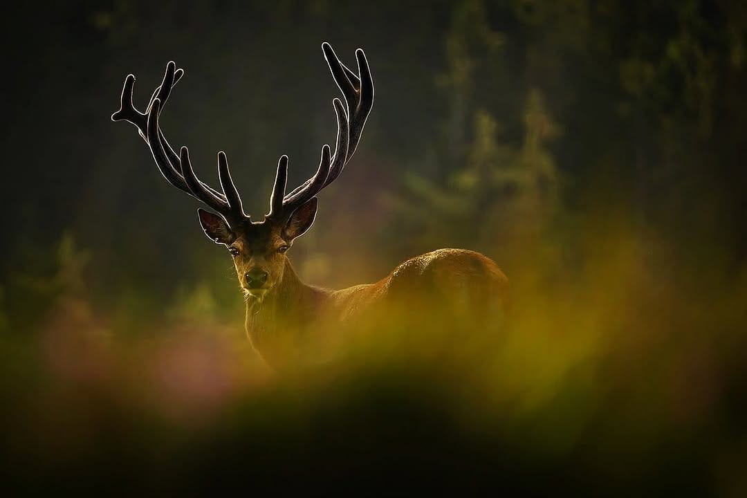 Post 4 by Neil McIntyre on Instagram (image)