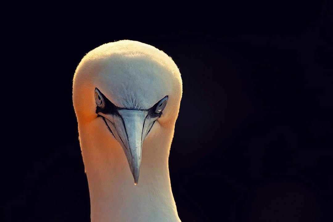 Post 10 by Neil McIntyre on Instagram (image)