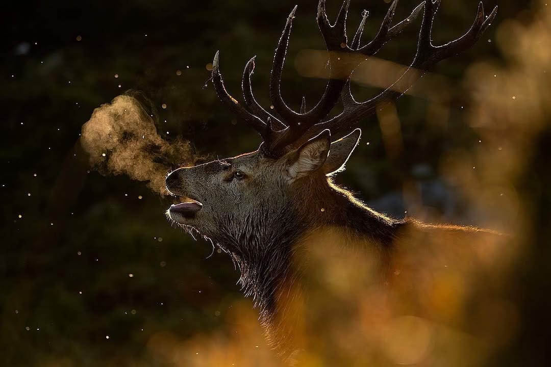 Post 9 by Neil McIntyre on Instagram (image)