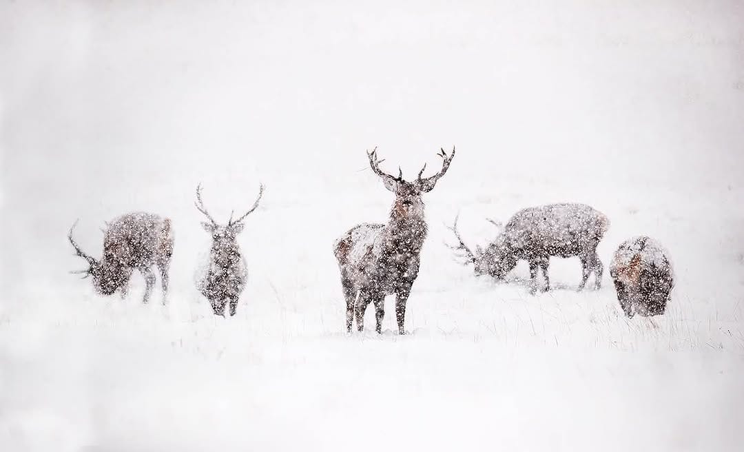Post 8 by Neil McIntyre on Instagram (image)