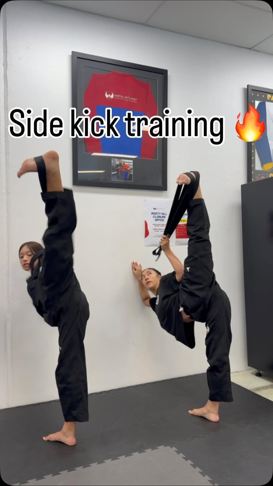 Post 3 by Martial Arts Spirit on Instagram (video)