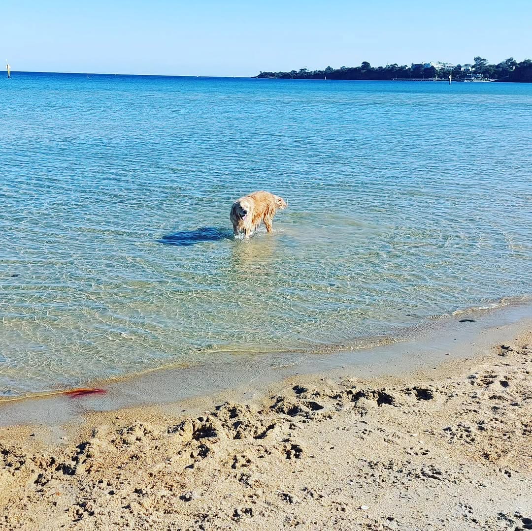 Post 5 by Nay Nay 🇦🇺 on Instagram (image)