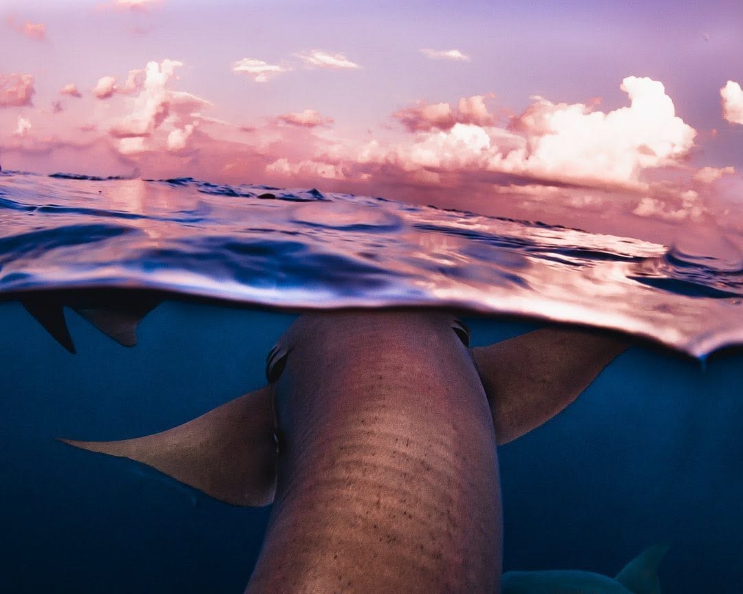 Post 9 by Marcus De La Haye on Instagram (image)