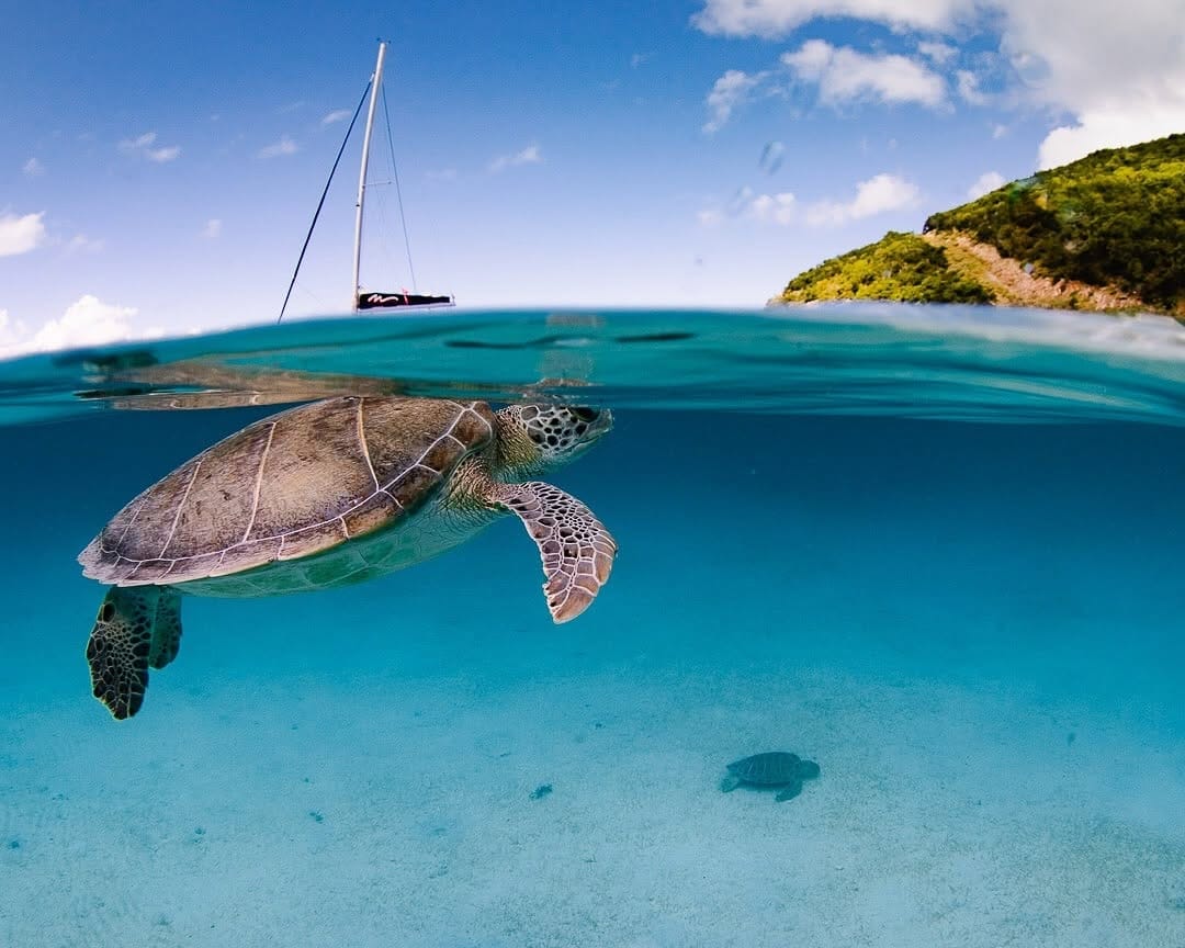 Post 4 by Marcus De La Haye on Instagram (image)