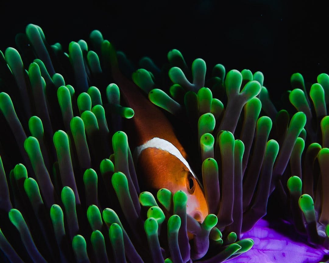 Post 6 by Marcus De La Haye on Instagram (image)