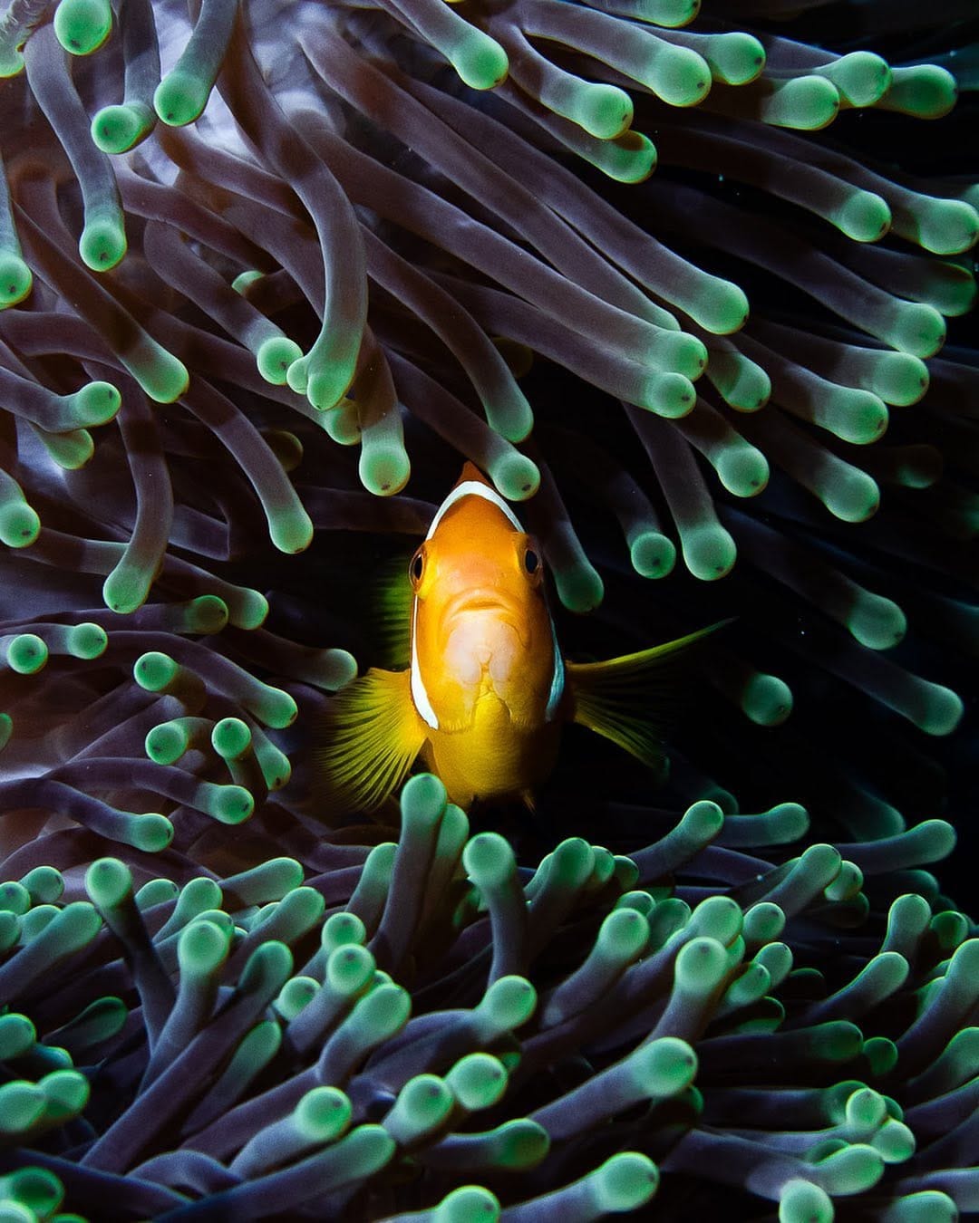 Post 10 by Marcus De La Haye on Instagram (image)