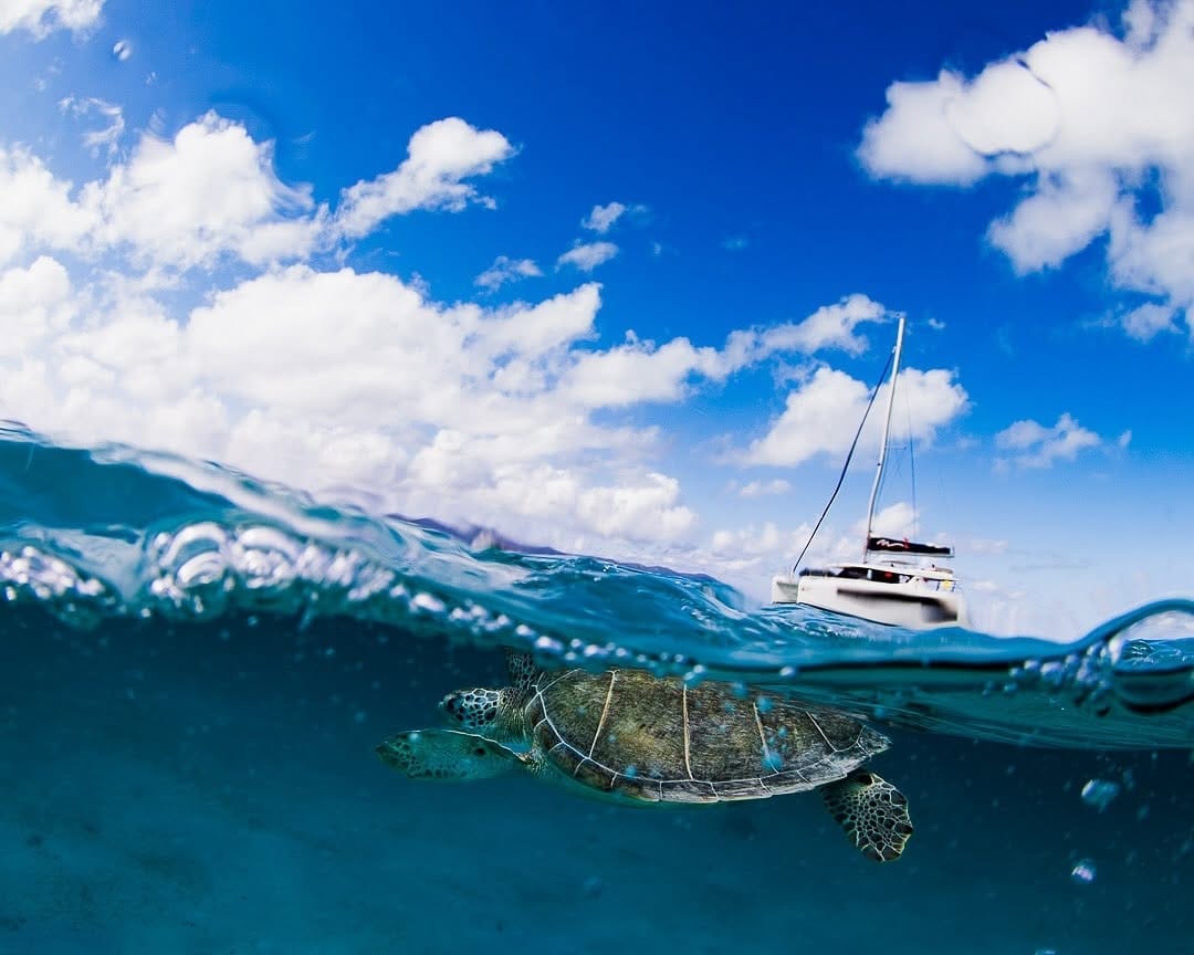 Post 2 by Marcus De La Haye on Instagram (image)