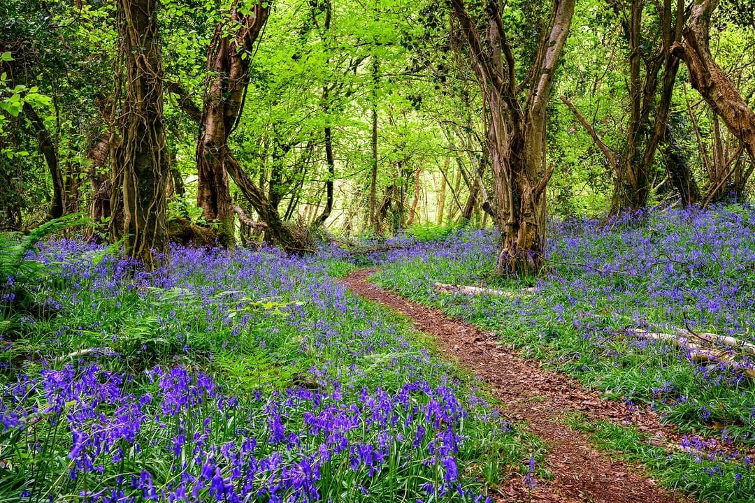 Post 2 by Gareth Wray on Instagram (image)