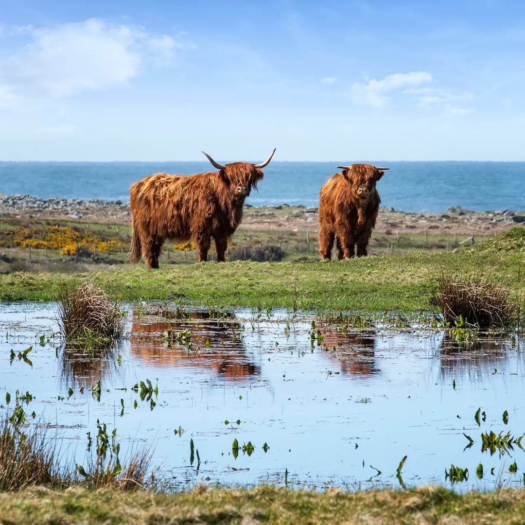 Post 4 by Gareth Wray on Instagram (image)