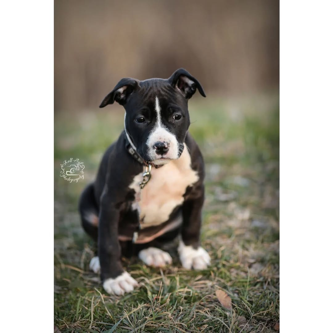 Post 1 by @kollartphotography on Instagram (image)
