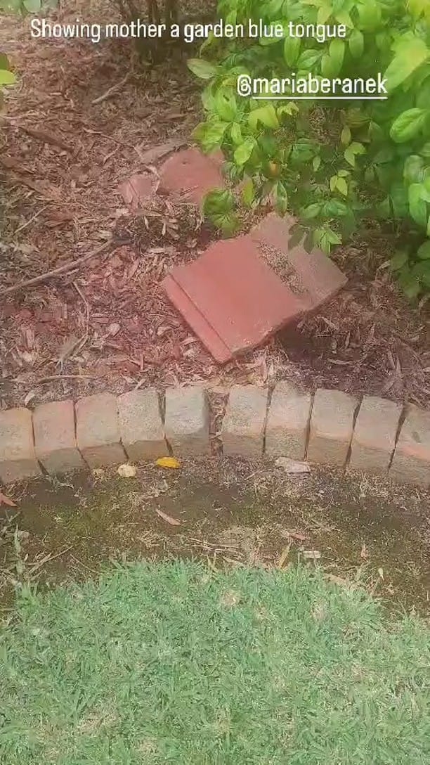 Post 7 by Chadley Beranek on Instagram (video)