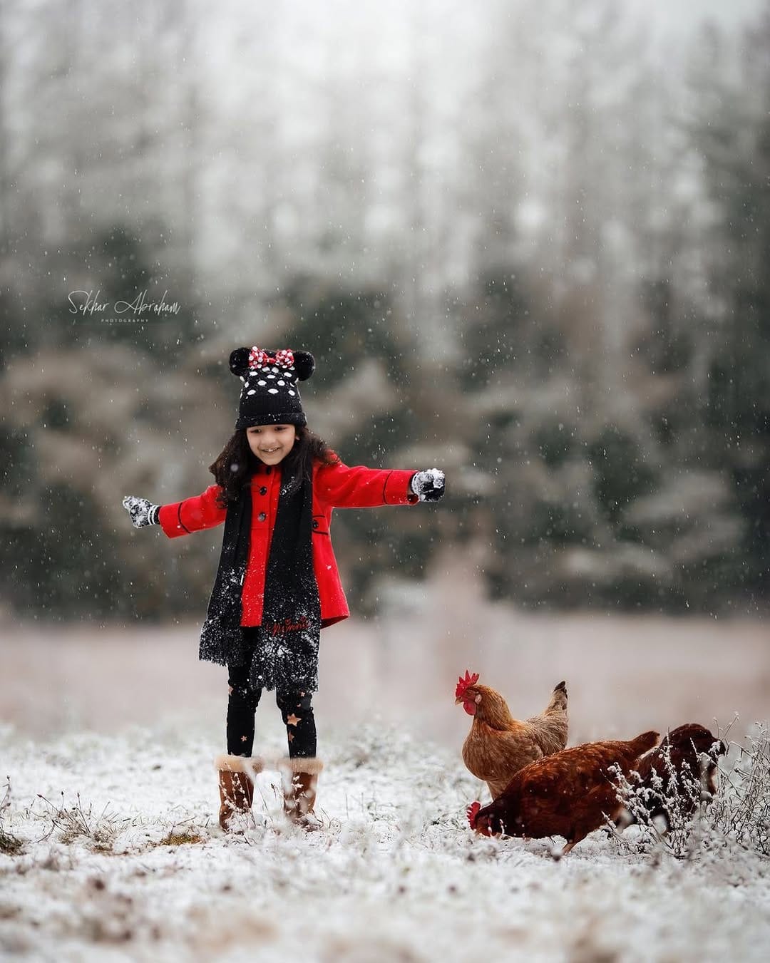 Post 10 by Sekhar Abraham Photography on Instagram (image)