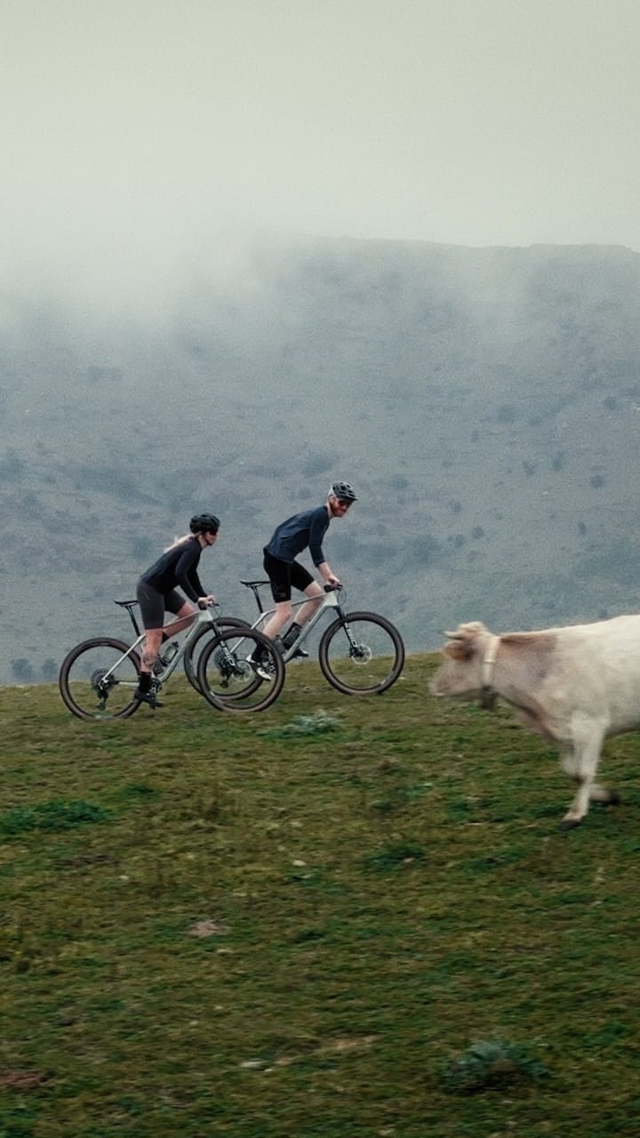 Post 8 by Will Evans on Instagram (video)