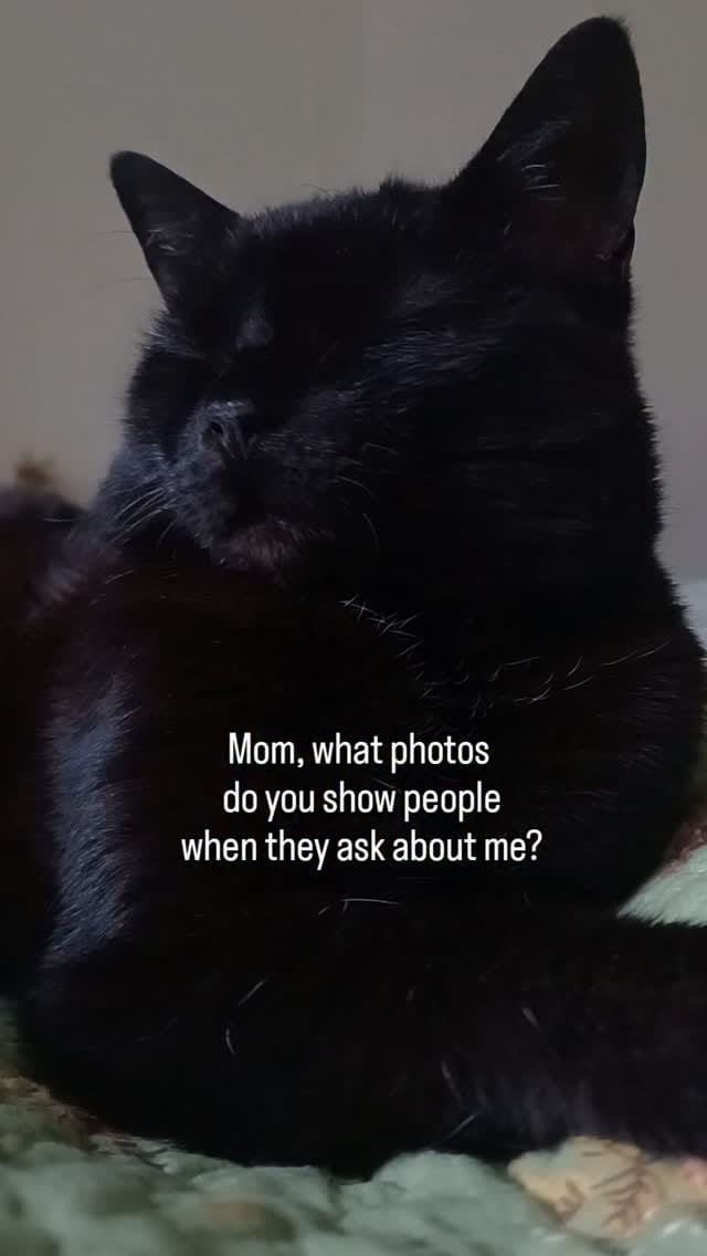 Post 7 by Lady Catterley & co. on Instagram (video)