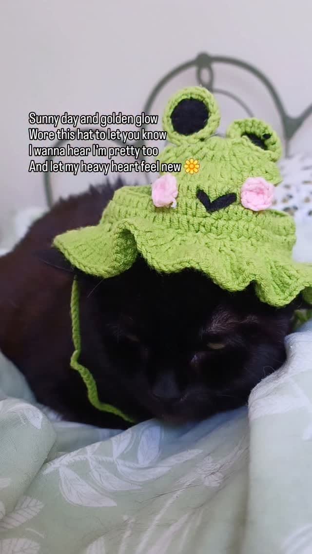 Post 5 by Lady Catterley & co. on Instagram (video)