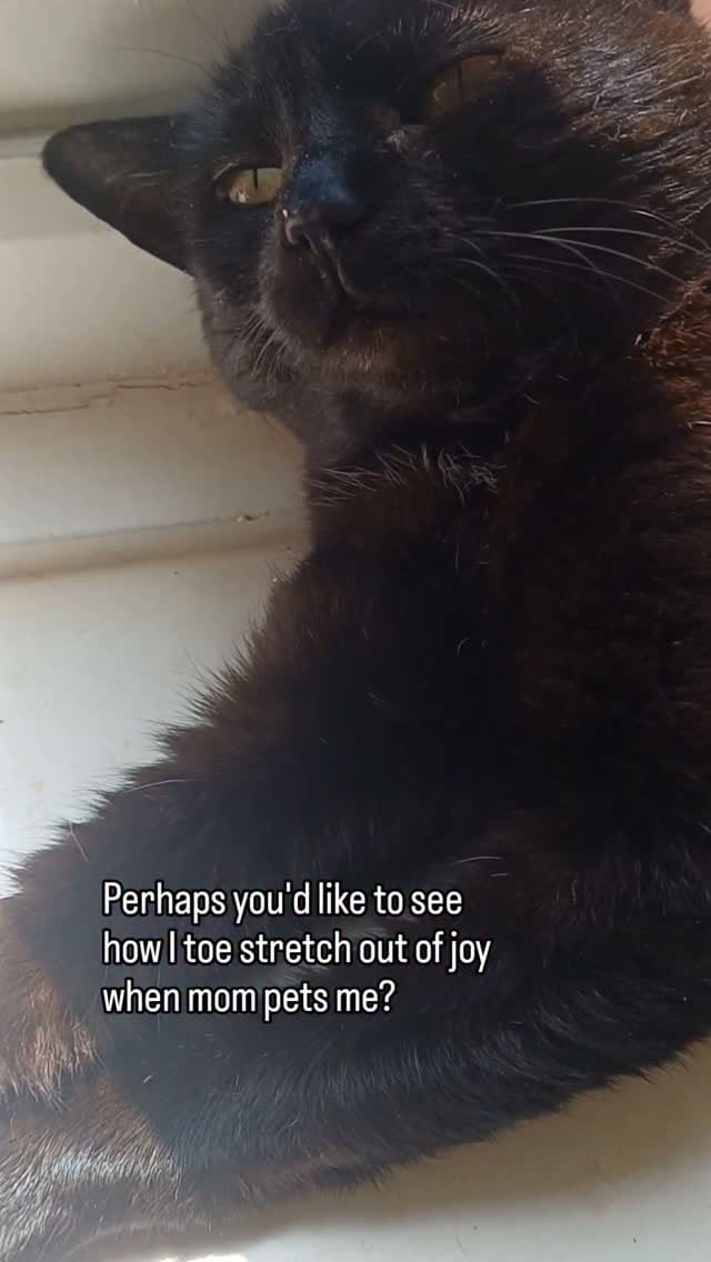 Post 3 by Lady Catterley & co. on Instagram (video)