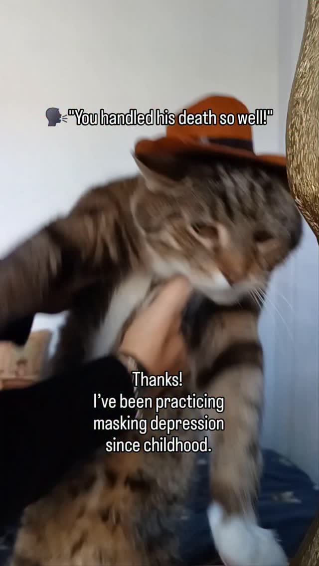 Post 6 by Lady Catterley & co. on Instagram (video)