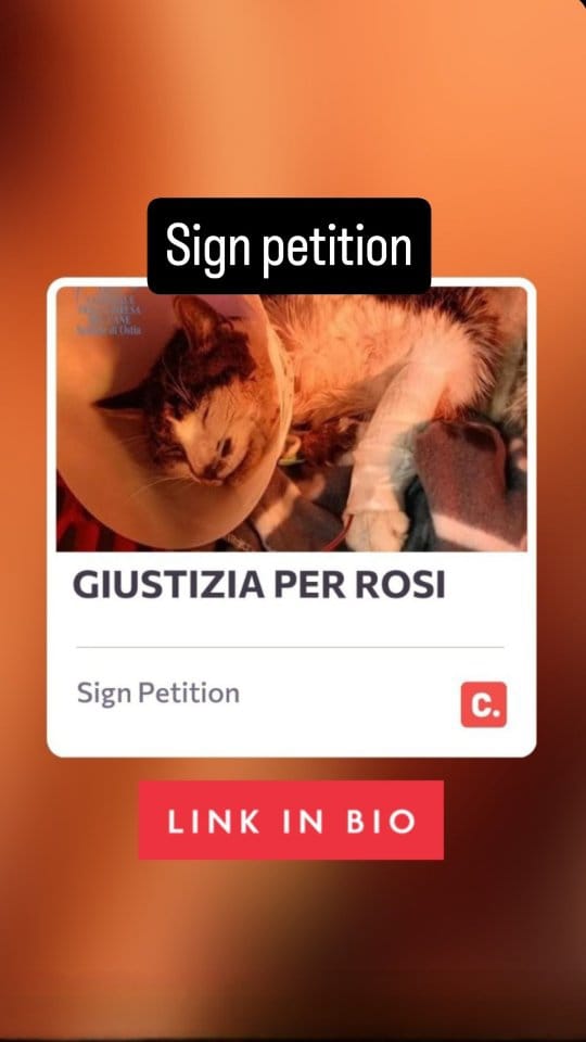 Post 9 by Lady Catterley & co. on Instagram (video)