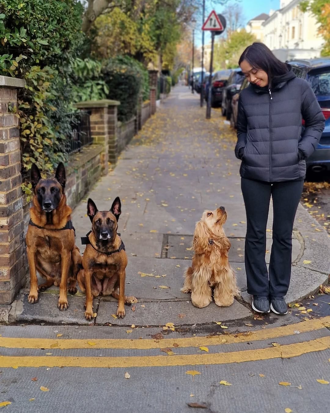 Post 4 by Lupine Canine on Instagram (image)