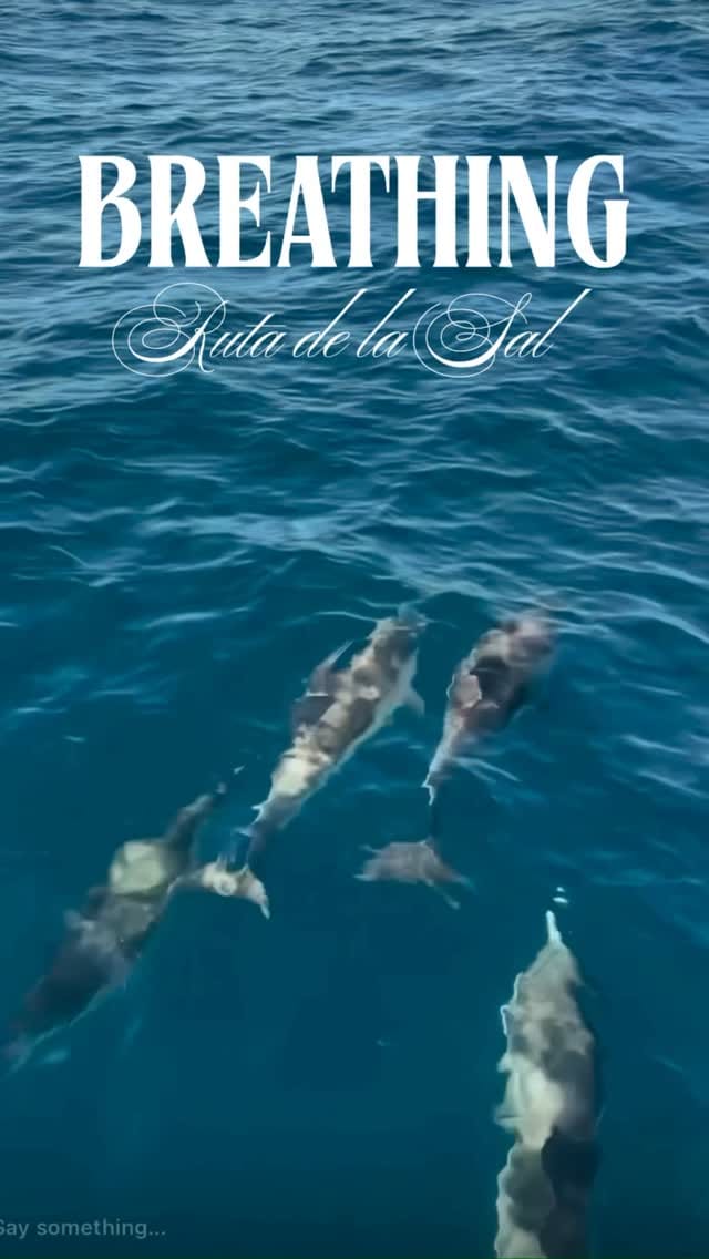 Post 5 by Nani Tovar-Breathing Mentor on Instagram (video)