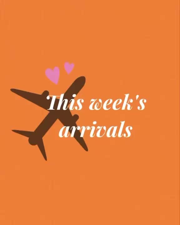 Post 4 by Carla Lane Animals In Need on Instagram (video)