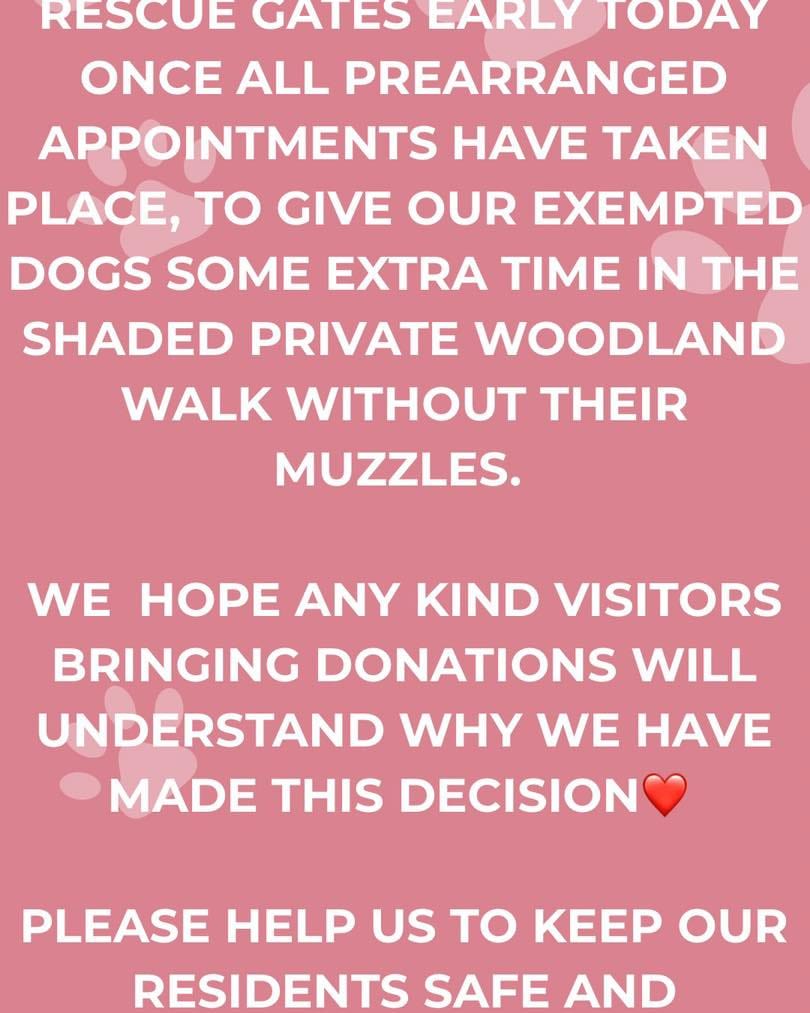 Post 8 by Carla Lane Animals In Need on Instagram (image)
