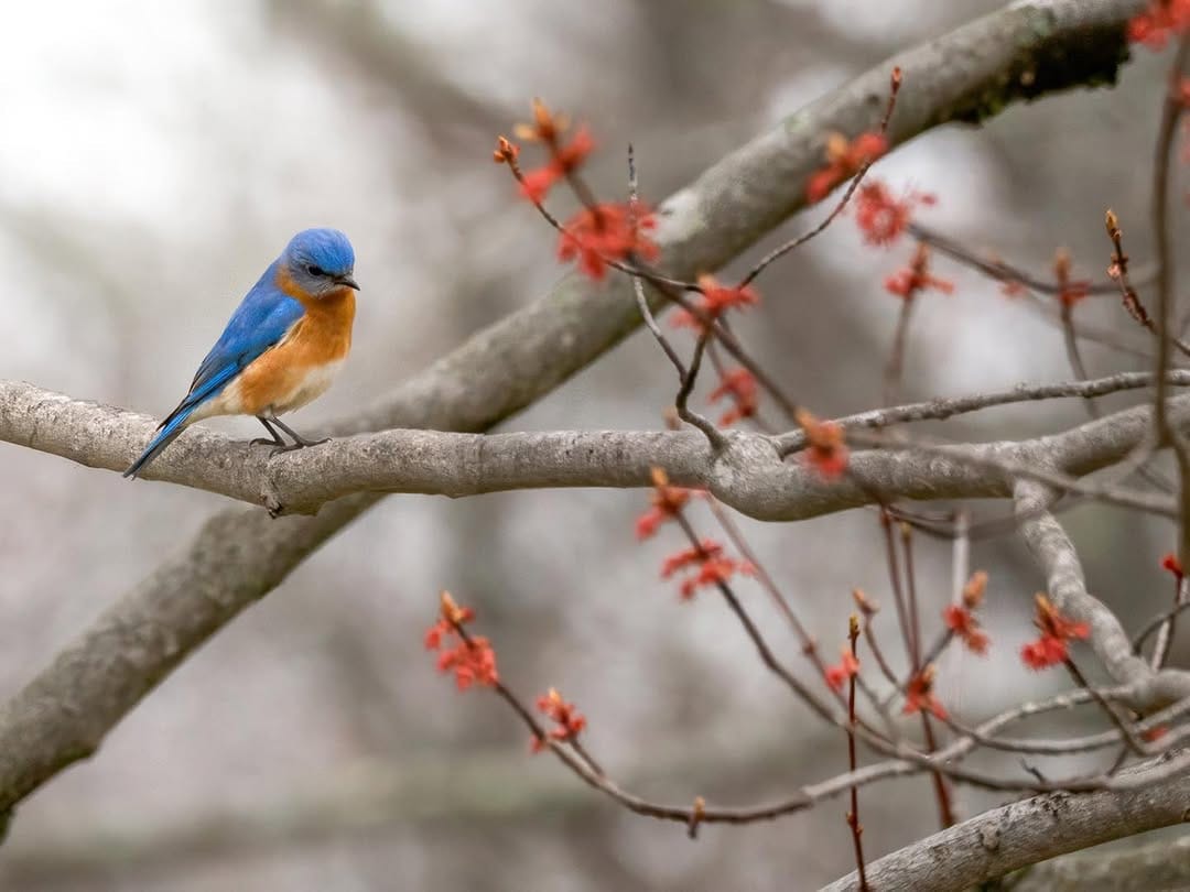 Post 4 by Nicole Gearty on Instagram (image)