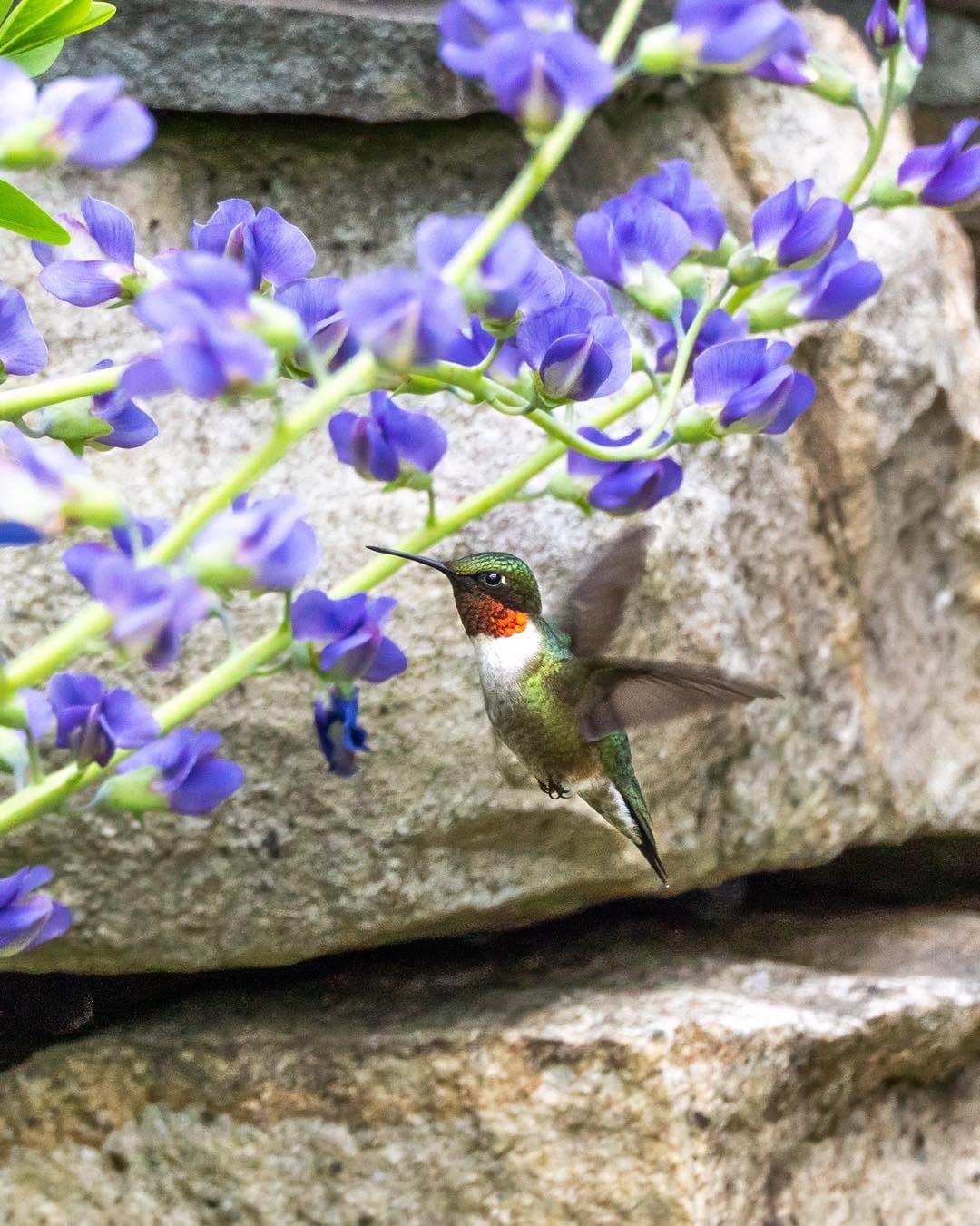 Post 8 by Nicole Gearty on Instagram (image)