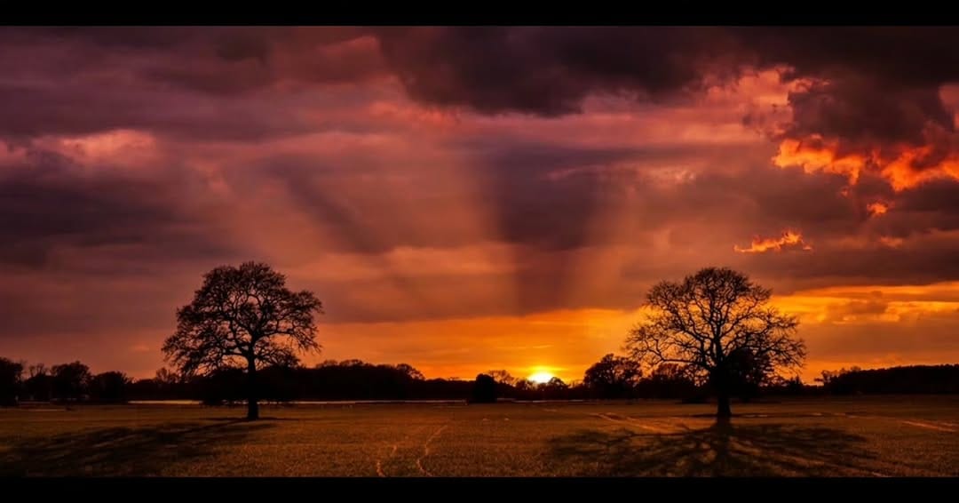 Post 1 by Matt Lancaster on Instagram (image)