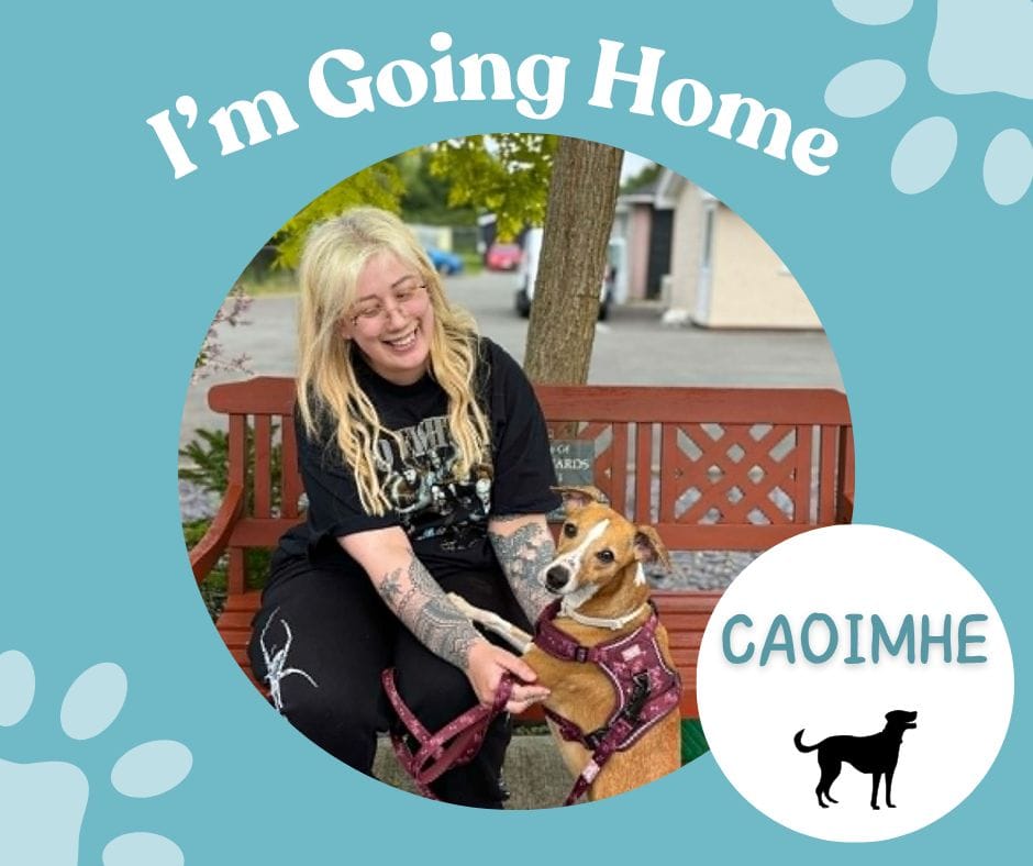 Post 9 by Danaher Animal Home on Instagram (image)