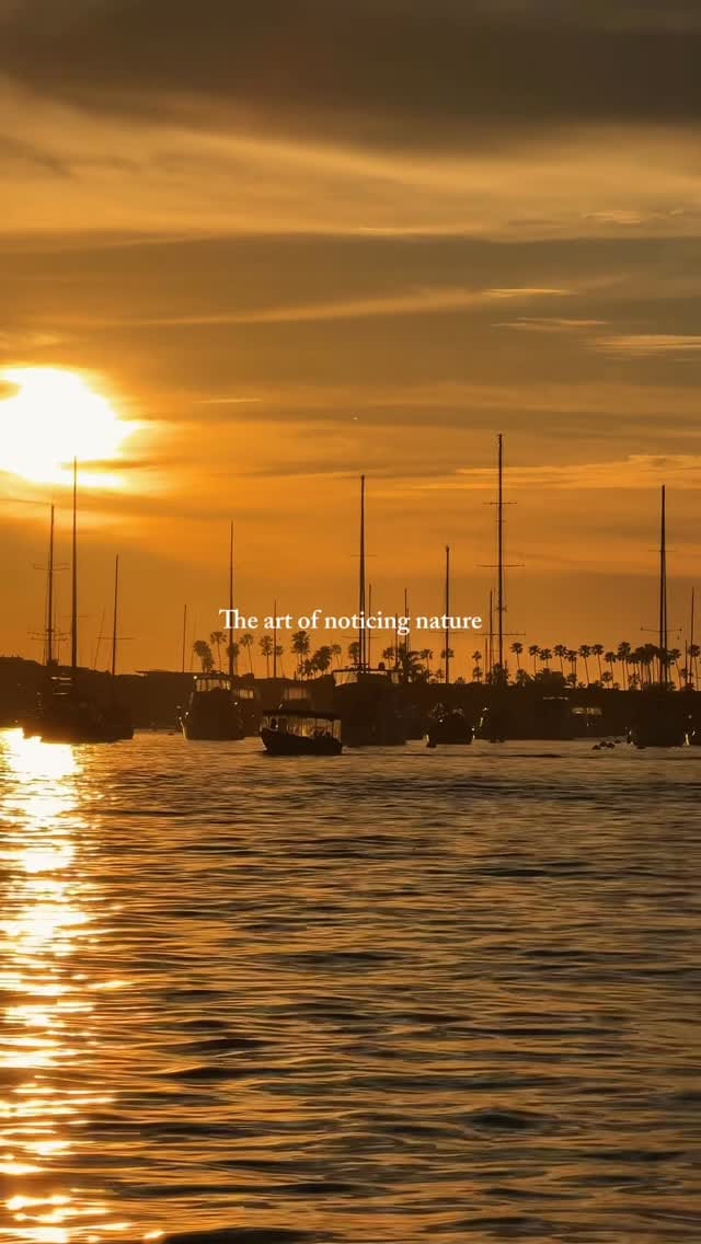 Post 5 by This Wild Romance on Instagram (video)