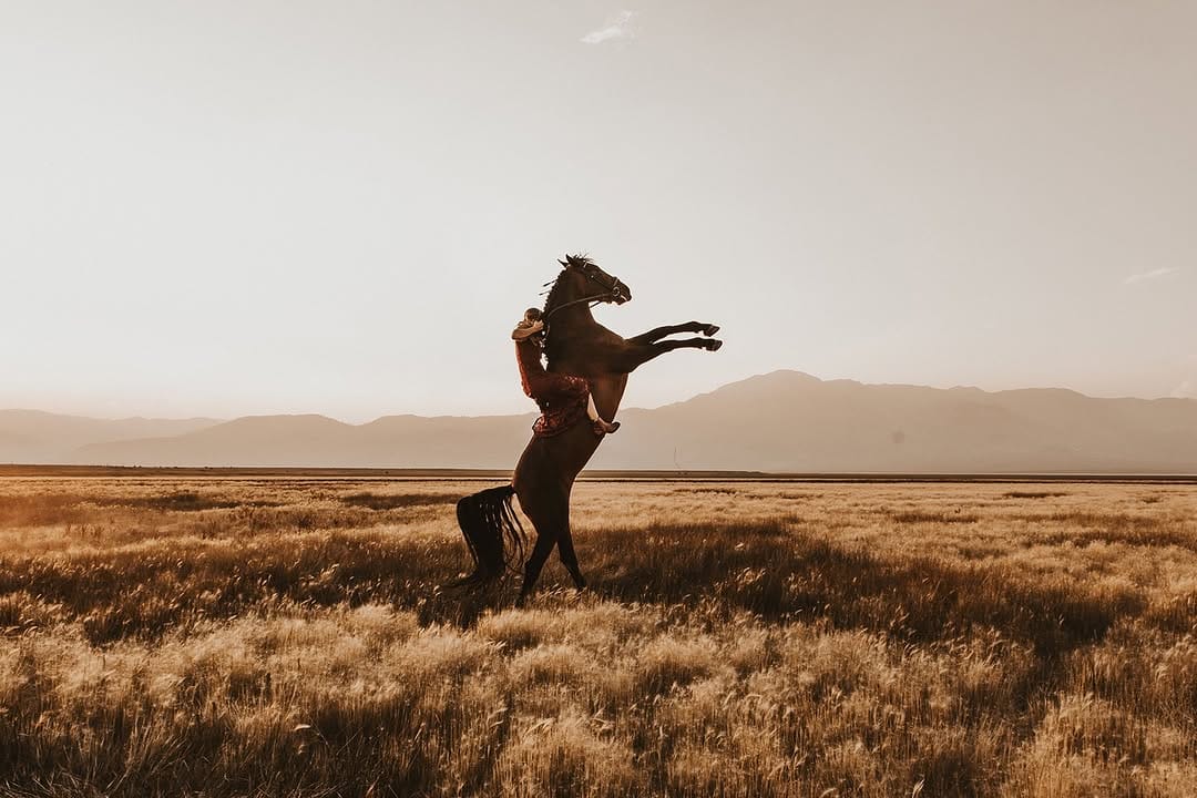 Post 9 by This Wild Romance on Instagram (image)