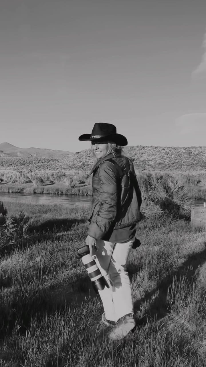 Post 10 by This Wild Romance on Instagram (video)