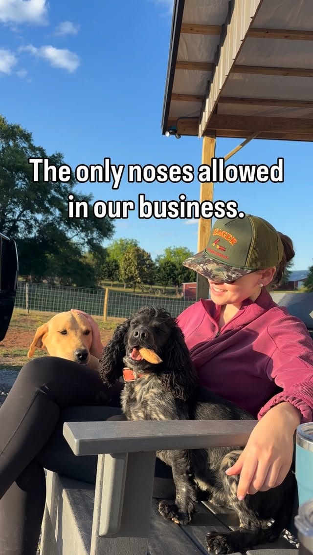 Post 7 by Sporting Life Kennels on Instagram (video)