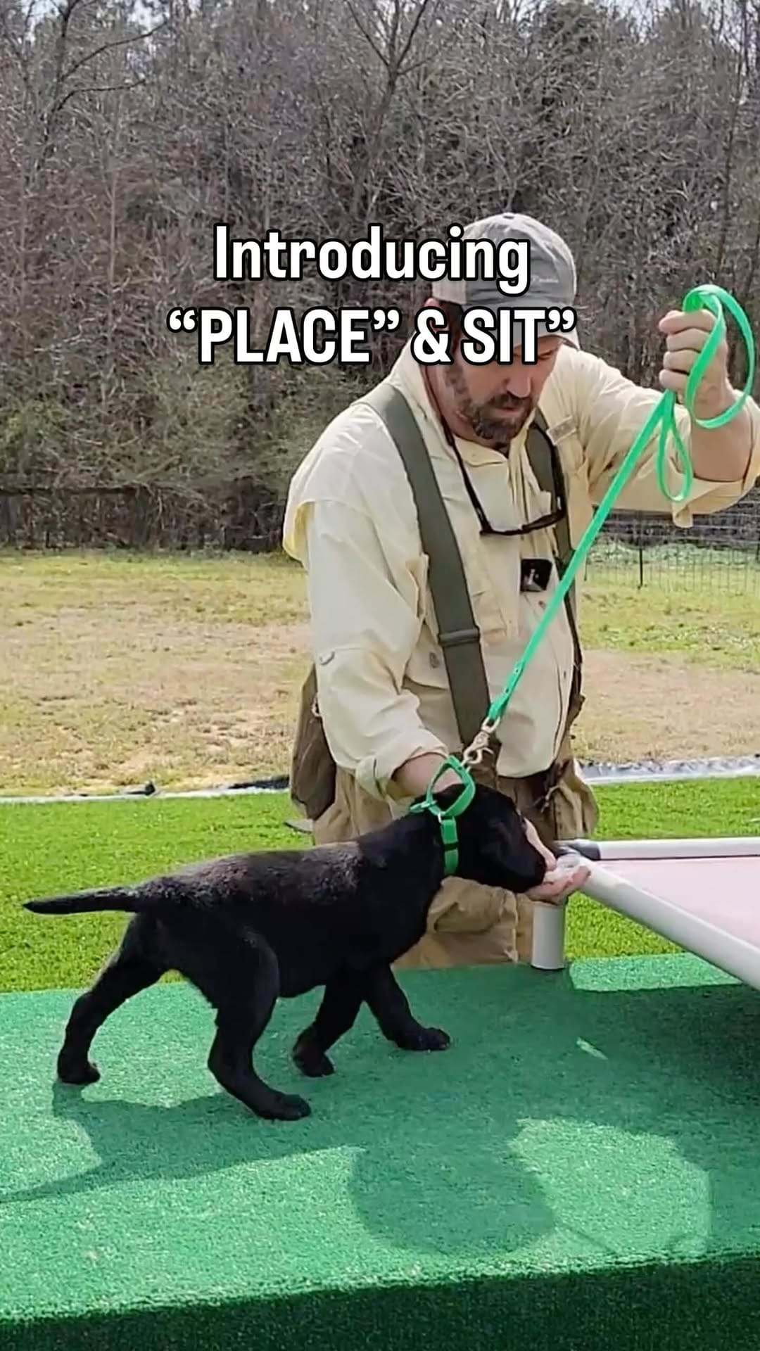 Post 8 by Sporting Life Kennels on Instagram (video)