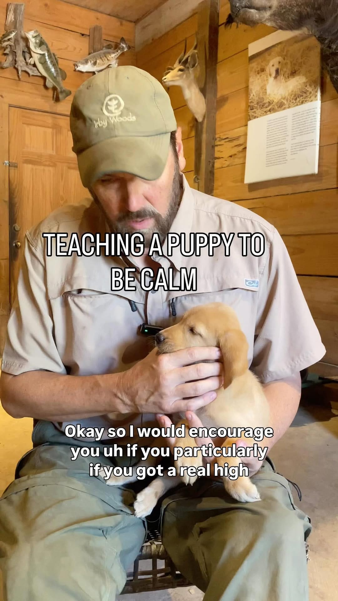 Post 9 by Sporting Life Kennels on Instagram (video)