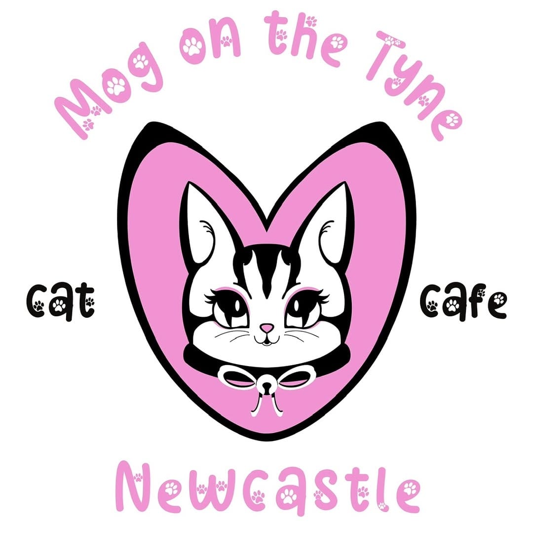 Post 1 by Mog On The Tyne Cat Cafe on Instagram (image)