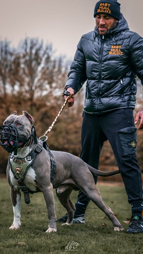 Post 9 by Baxter | Content Creator on Instagram (video)