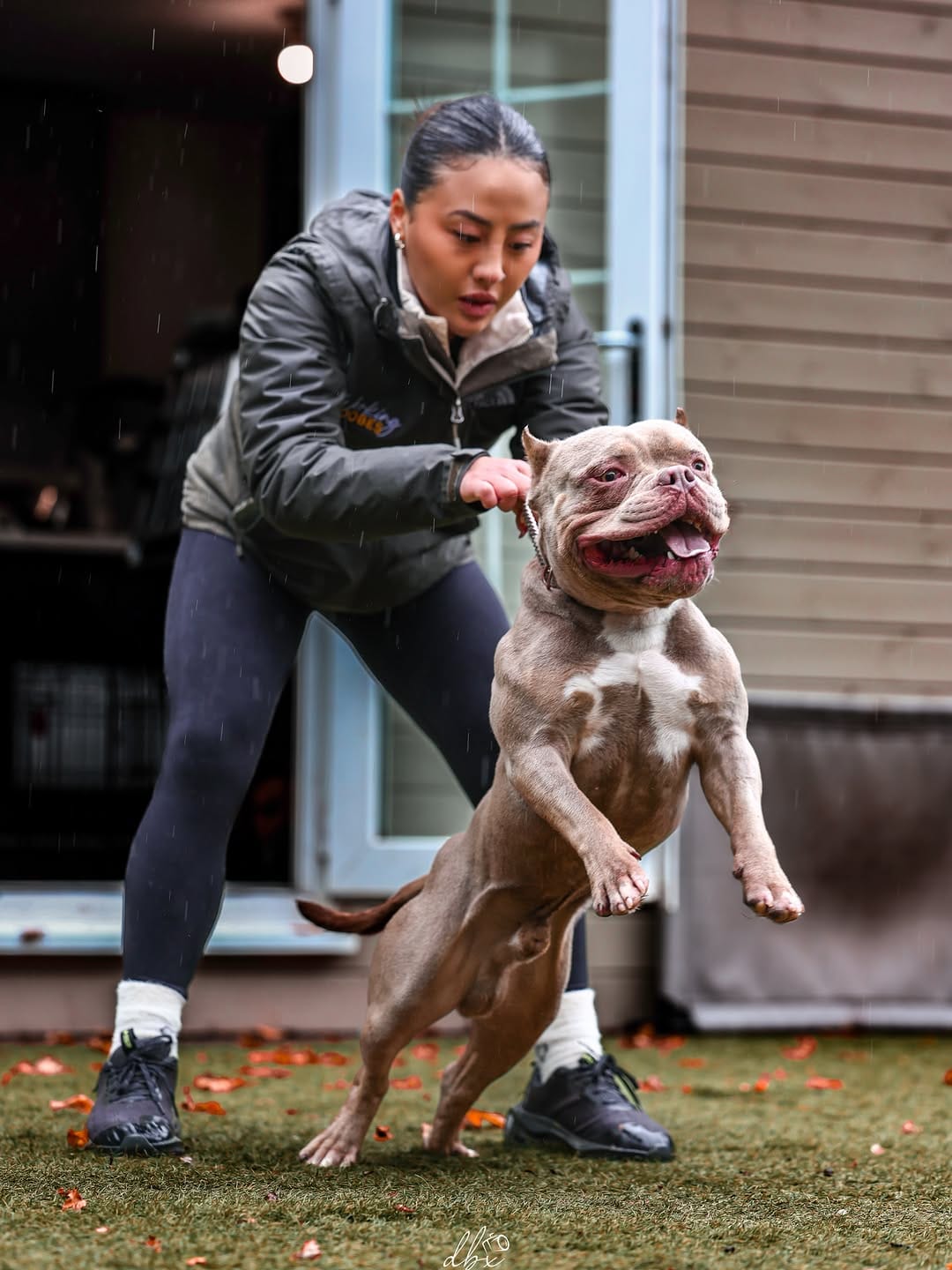 Post 1 by Baxter | Content Creator on Instagram (image)