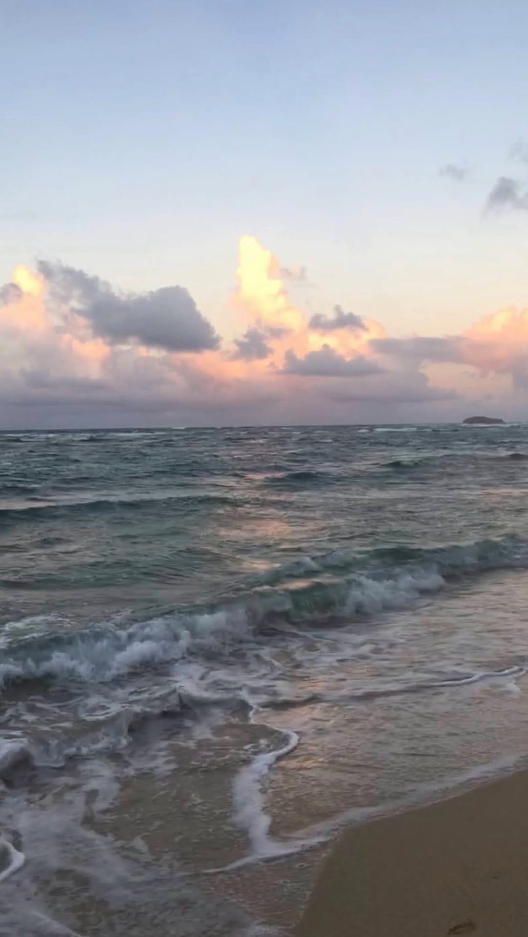 Post 4 by SYDNEY MCCLEARY on Instagram (video)