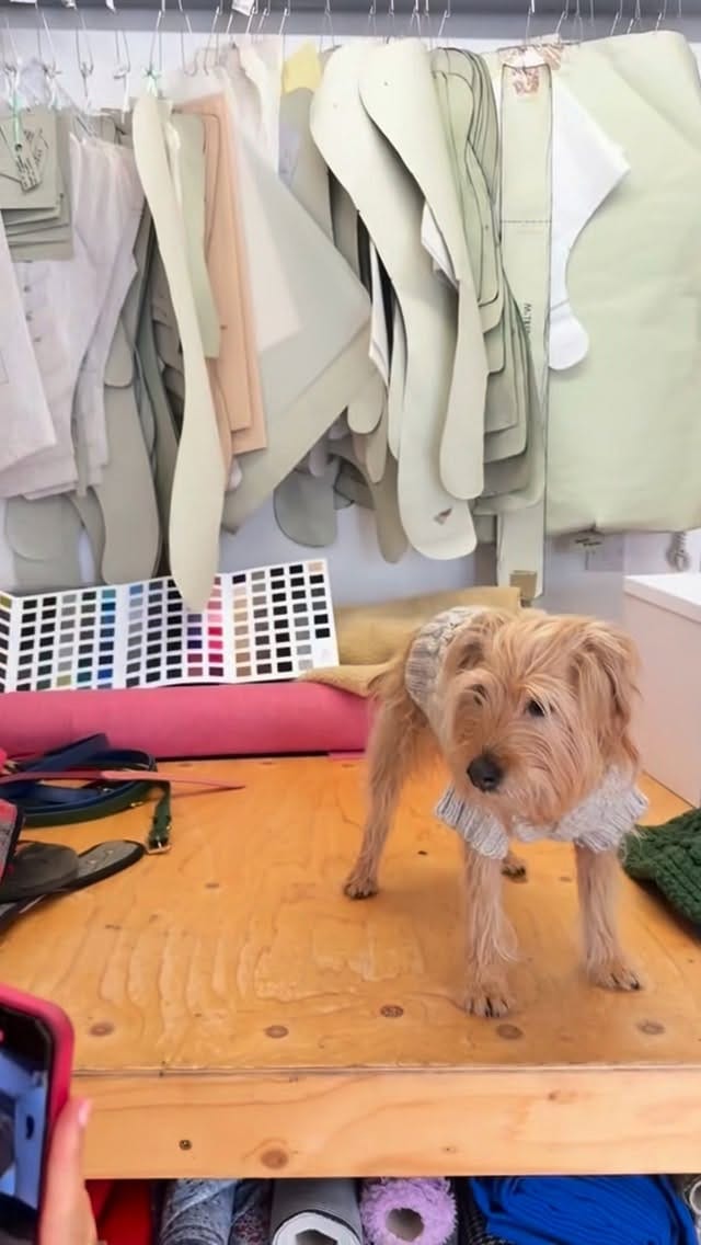 Post 6 by LISH on Instagram (video)