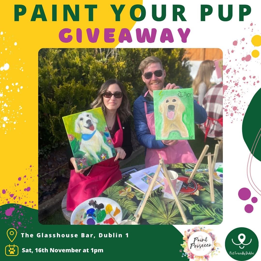 Post 5 by Pet Friendly Dublin on Instagram (image)