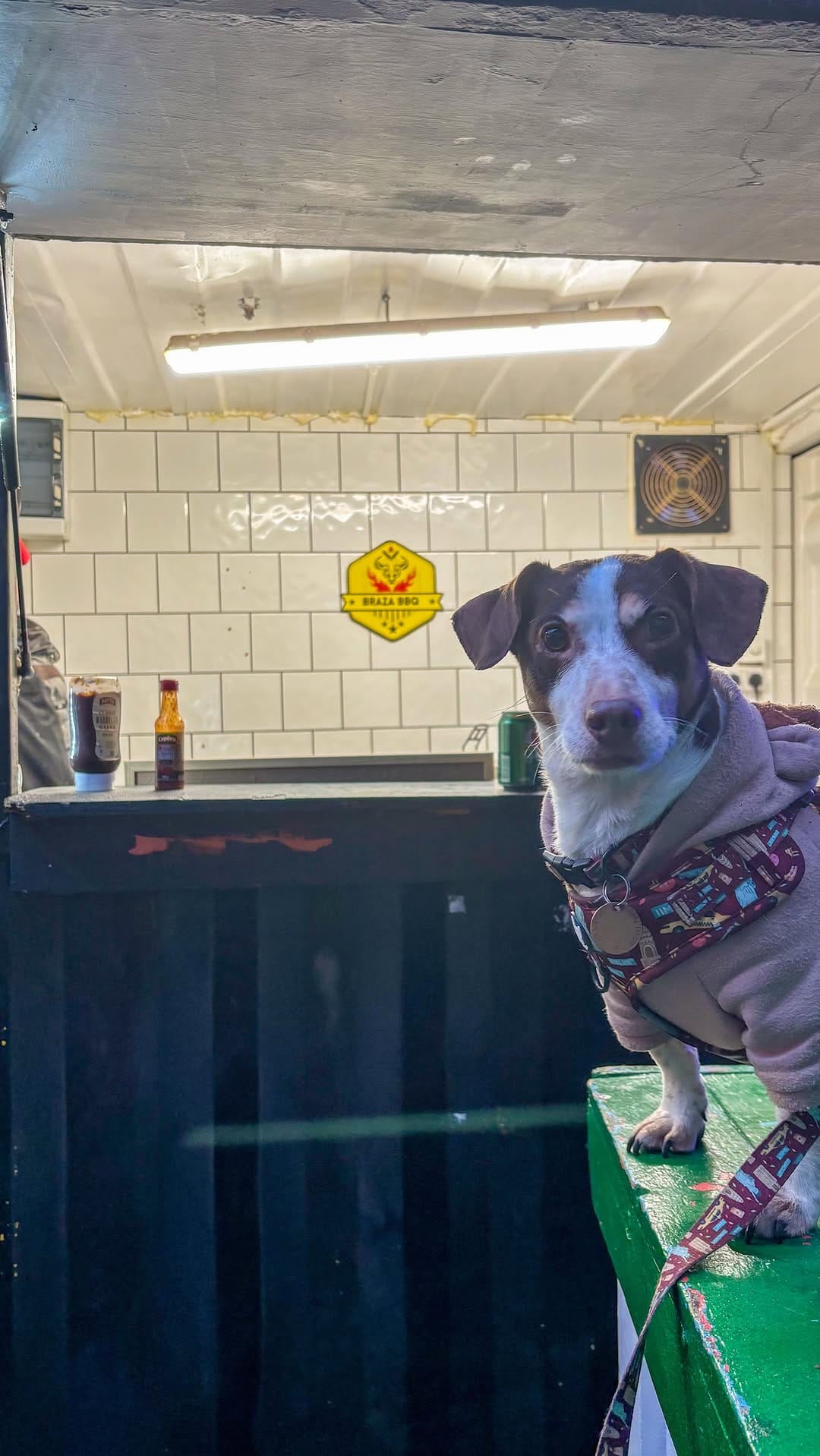 Post 4 by Pet Friendly Dublin on Instagram (video)