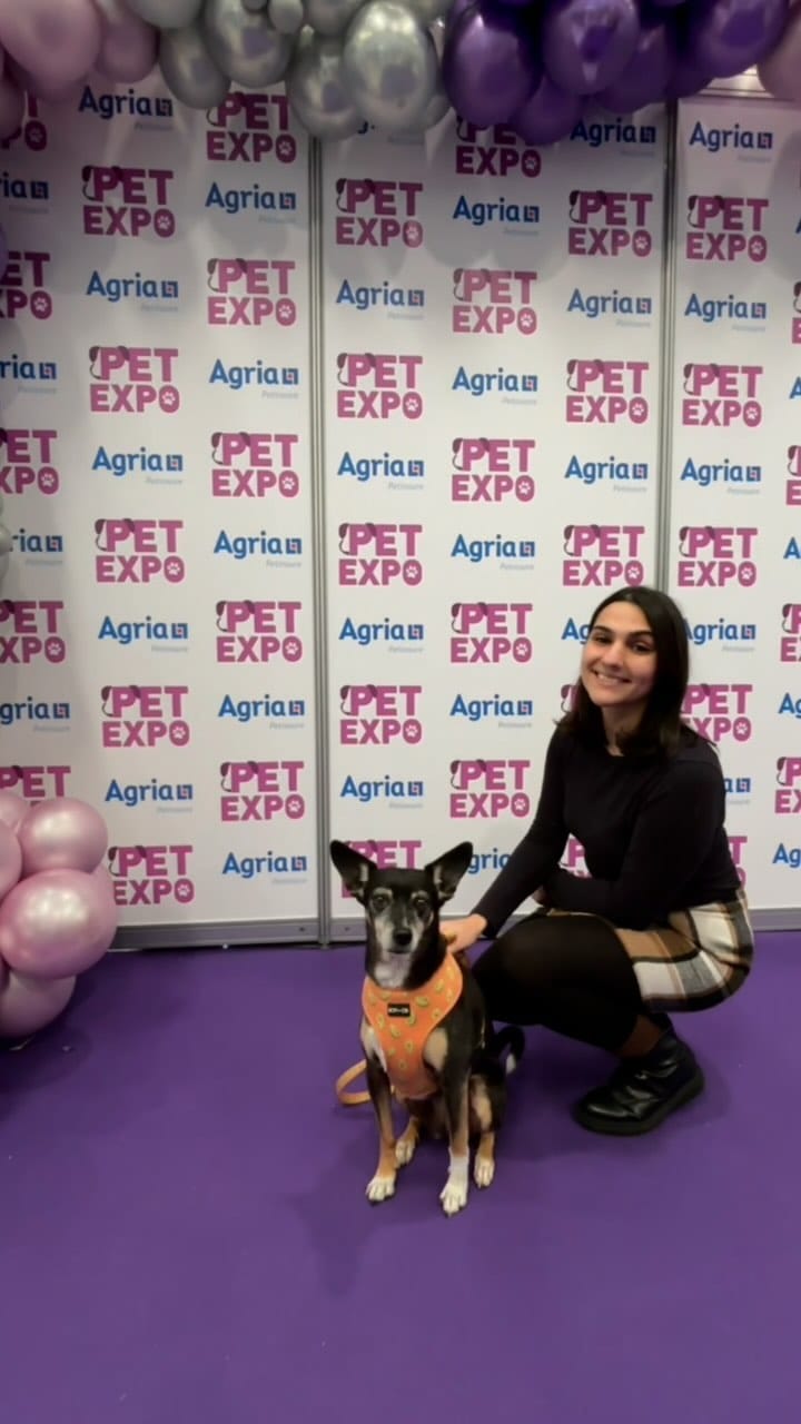 Post 10 by Pet Friendly Dublin on Instagram (video)