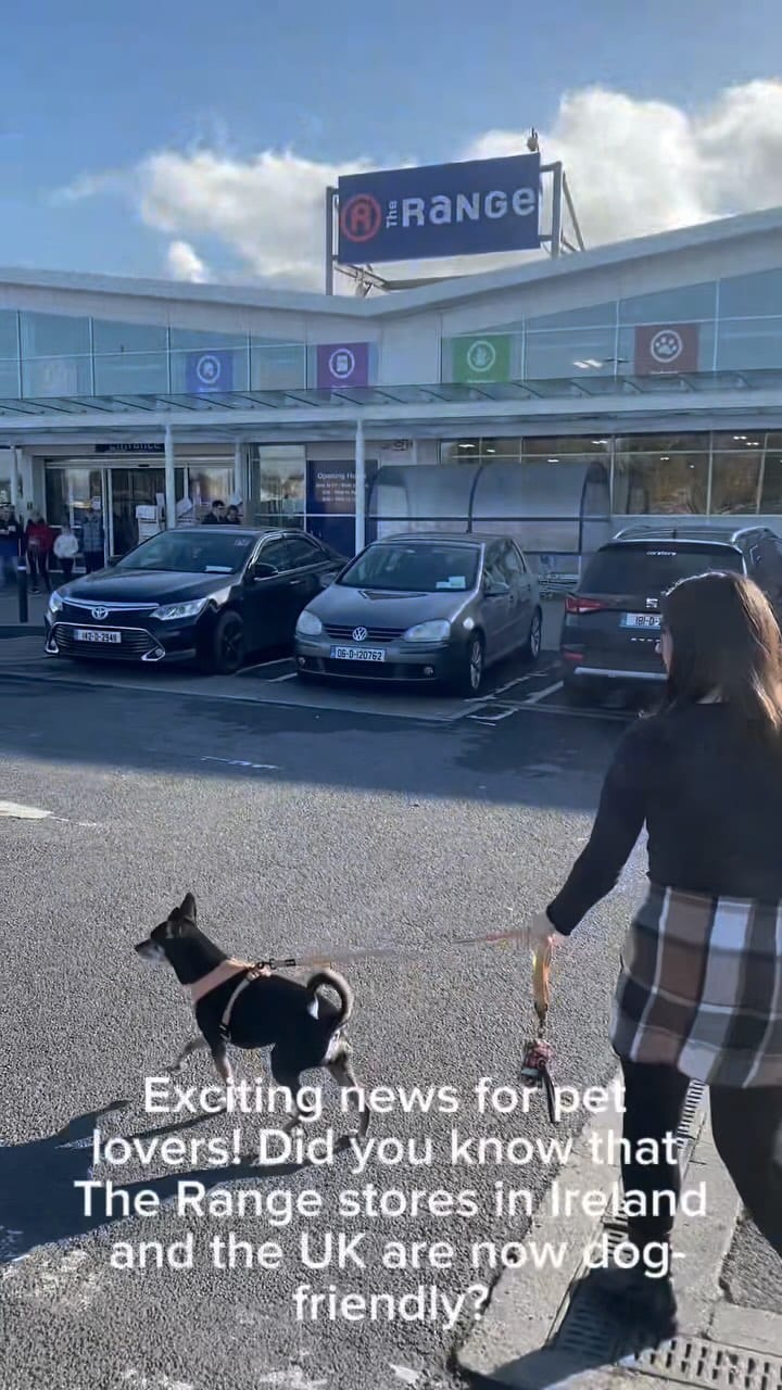 Post 9 by Pet Friendly Dublin on Instagram (video)