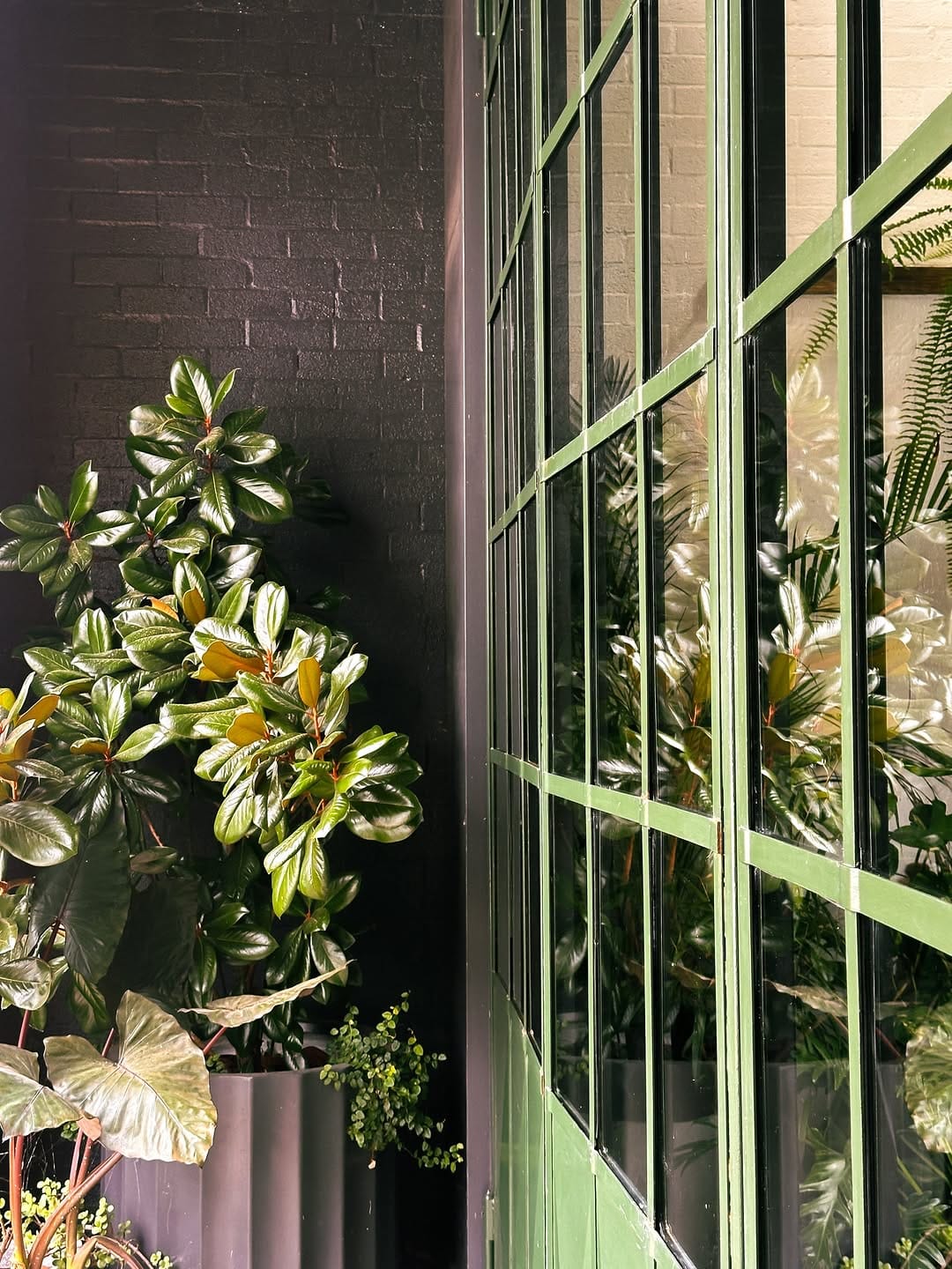 Post 7 by The Green House Ballarat on Instagram (image)