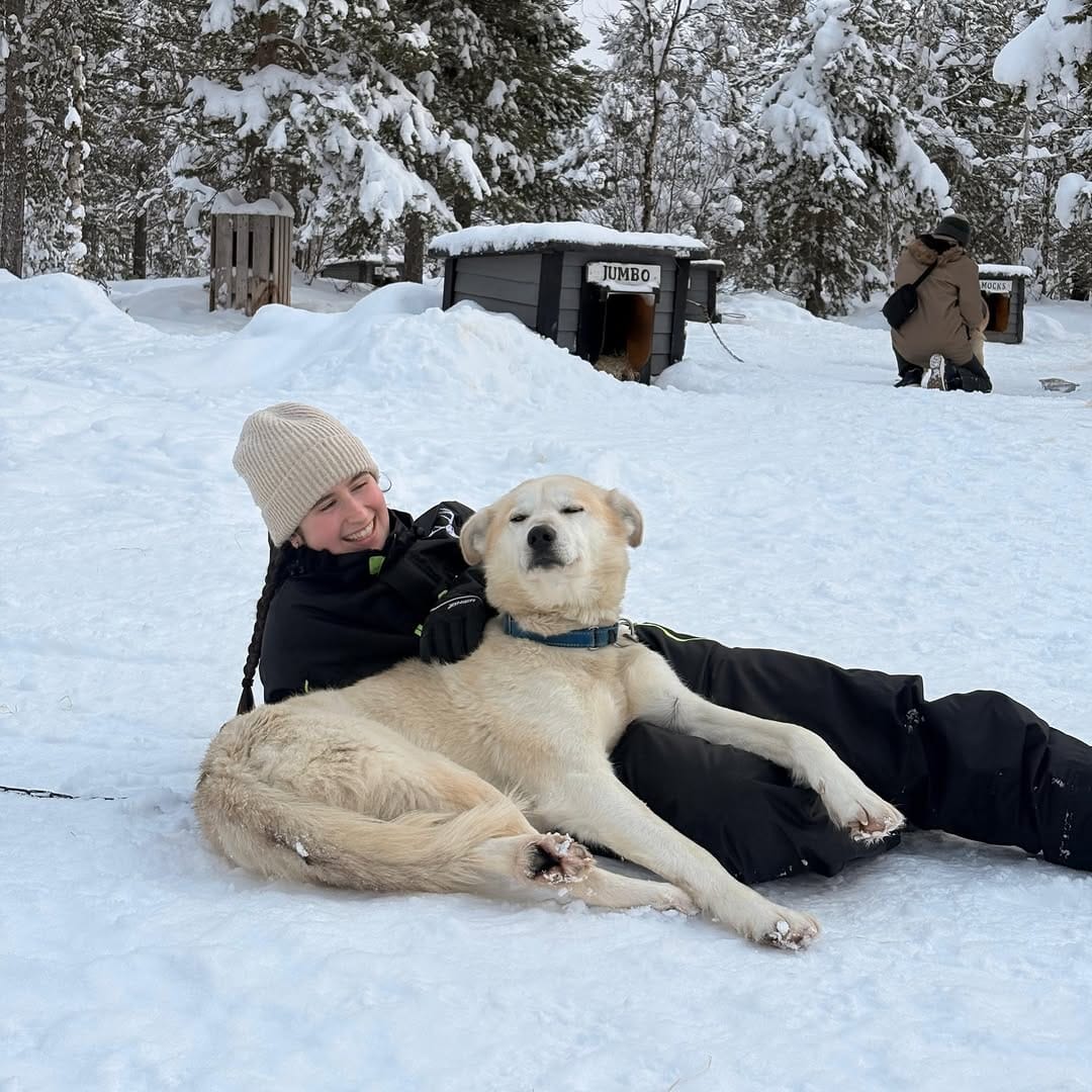 Post 9 by Hetta Huskies on Instagram (image)